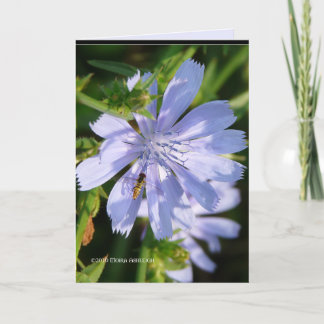 ハチが野生のブルーに カード