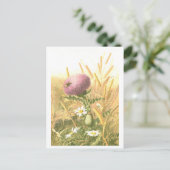 ハチとアザミのポストカード ポストカード (スタンド正面)