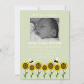 ハチのブズ 誕生のお知らせ 案内状 (正面)