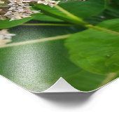 ハチの分裂と征服 フォトプリント            (角)