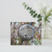 ハチの巣 ポストカード (スタンド正面)