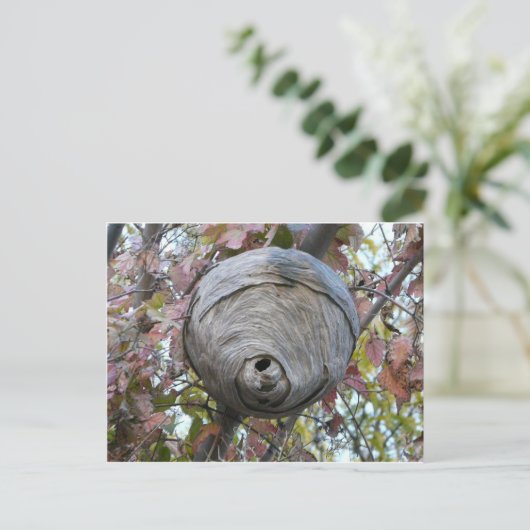 ハチの巣 ポストカード (スタンド正面)