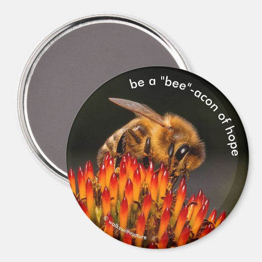 ハチの希望の灯台 エキナセアの上の蜂となりなさい マグネット (正面/裏面)