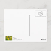 ハチの感謝のポストカード ポストカード (裏面)