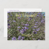 ハチの日にエンゲージ：世界ハチの日ポストカード ポストカード (正面/裏面)