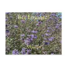 ハチの日にエンゲージ：世界ハチの日ポストカード