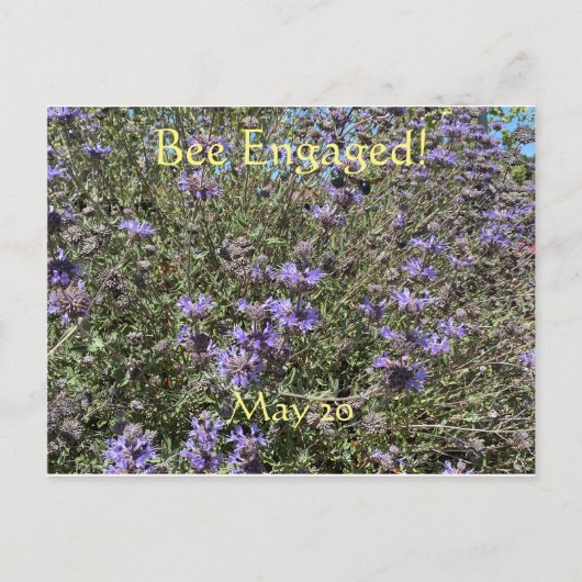 ハチの日にエンゲージ：世界ハチの日ポストカード ポストカード (正面)