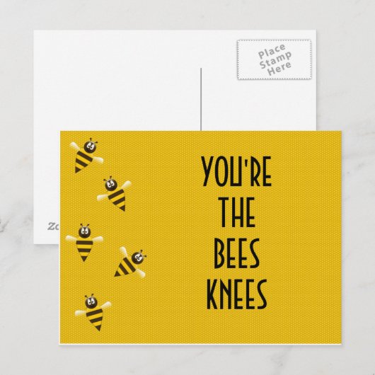 ハチの膝 ポストカード (正面/裏面)