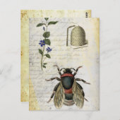 ハチの花の巣 ポストカード (正面/裏面)