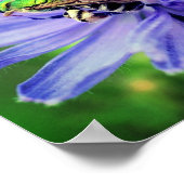 ハチの花をクローズアップ ポスター (角)