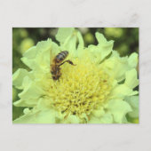 ハチを持つセファリアの巨大な茶 ポストカード (正面)