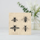 ハチイラストレーションアンティークビーアートヴィンテージデザイン 招待状 (スタンド正面)