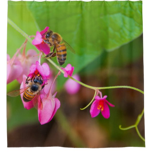 ハチオンコーラルつる植物フラワーズ写真 シャワーカーテン (正面)