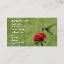 ハチドリおよび赤い《植物》百日草