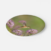 ハチドリおよび野生の花 ペーパープレート (アングル)
