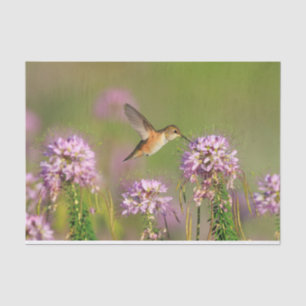 ハチドリおよび野生の花 薄葉紙