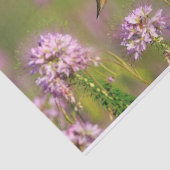 ハチドリおよび野生の花 薄葉紙 (詳細)