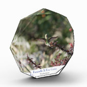 ハチドリが枝に落ち着き、羽を伸ばした フォトブロック (左)