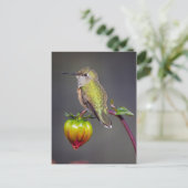 ハチドリが花のつぼみに止まる ポストカード (スタンド正面)