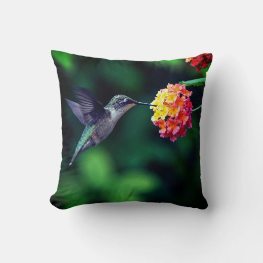 ハチドリが蜜を飲む緑の背景 クッション (正面)