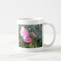 ハチドリそしてムクゲ