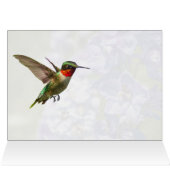 ハチドリとデルフィニウム (内部横(上))