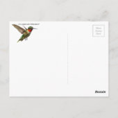 ハチドリとデルフィニウム ポストカード (裏面)