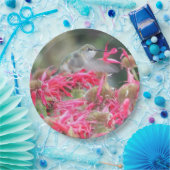 ハチドリとピンクの花 ペーパープレート (パーティー)