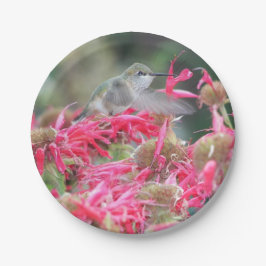 ハチドリとピンクの花 ペーパープレート