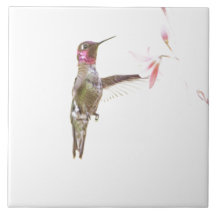 ハチドリと独身の花