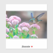 ハチドリと蜜 シール (シート)