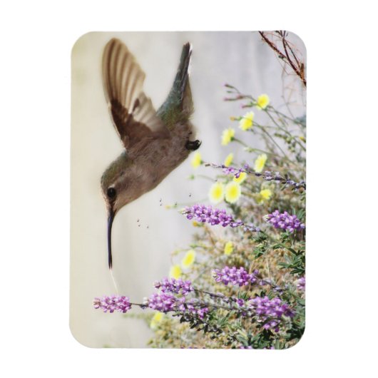 ハチドリと野の花 デジタルアート マグネット (縦)