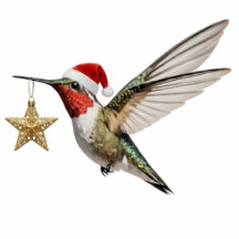 ハチドリと金の星の鳥のクリスマスオーナメント