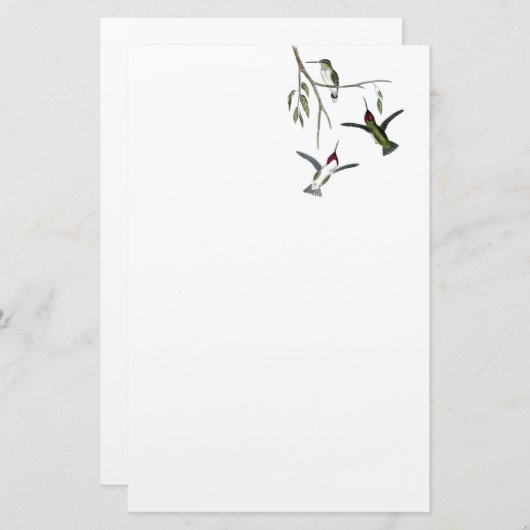ハチドリによってリサイクルされる文房具 便箋 (正面/裏面)