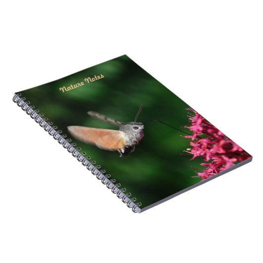 ハチドリのタカガの浮かぶこと ノートブック (右側)