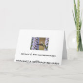 ハチドリのバースデー・カード カード (裏面)