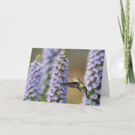 ハチドリのバースデー・カード カード