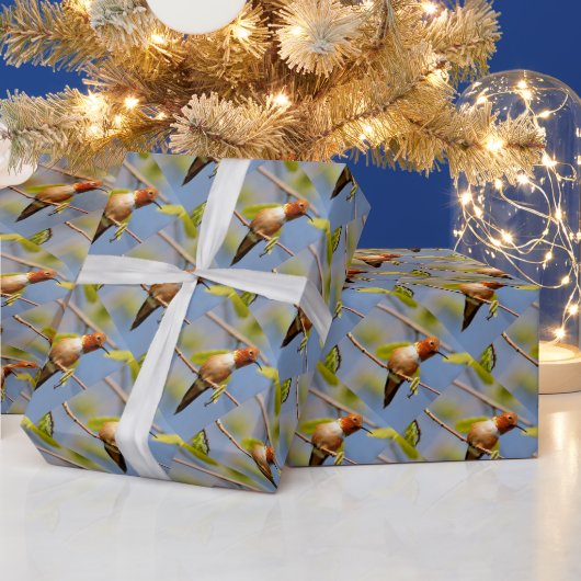 ハチドリのプロフィール ラッピングペーパー (クリスマス)