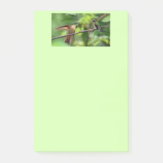 ハチドリのポスト・イット ポストイット (正面)