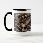 ハチドリのマグ-天使の顔 マグカップ (左)