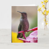 ハチドリのメッセージカード カード (黄色い花)