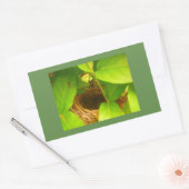 ハチドリの巣　長方形ステッカー 長方形シール (封筒)