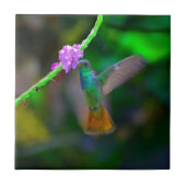 ハチドリの庭 タイル (正面)