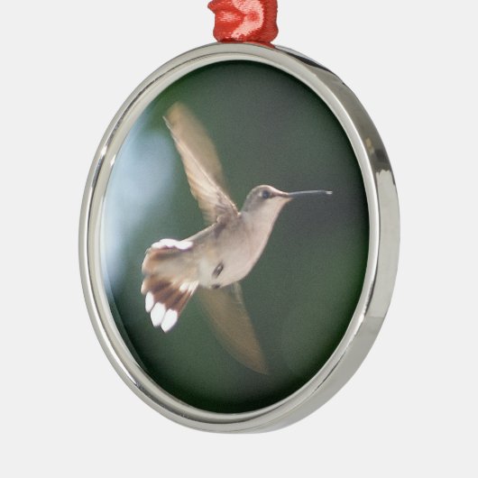 ハチドリの恋人のオーナメント メタルオーナメント (左)