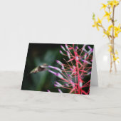 ハチドリの挨拶状 カード (黄色い花)