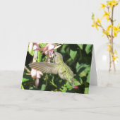 ハチドリの挨拶状 カード (黄色い花)