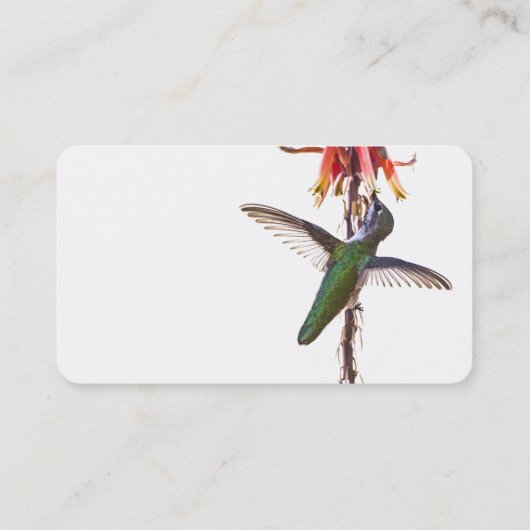 ハチドリの翼 名刺 (裏面)