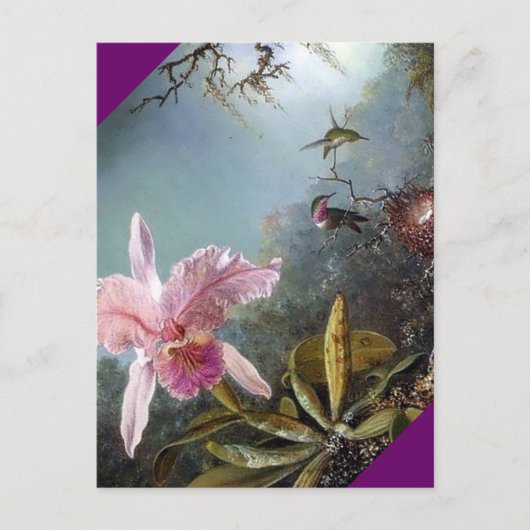 ハチドリの花の熱帯林絵画の ポストカード (正面)