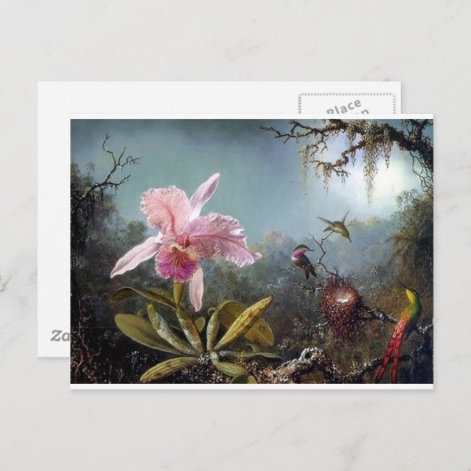ハチドリの花の熱帯林絵画の ポストカード (正面/裏面)