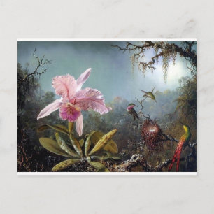 ハチドリの花の熱帯林絵画の ポストカード